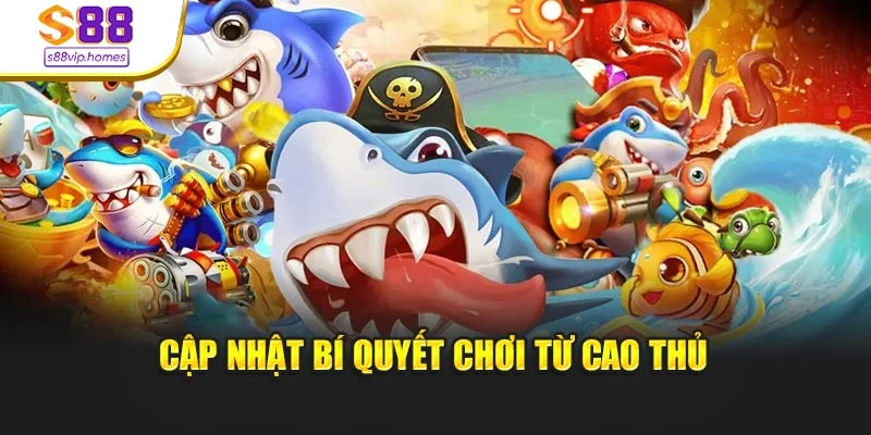 Cập nhật bí quyết chơi từ cao thủ